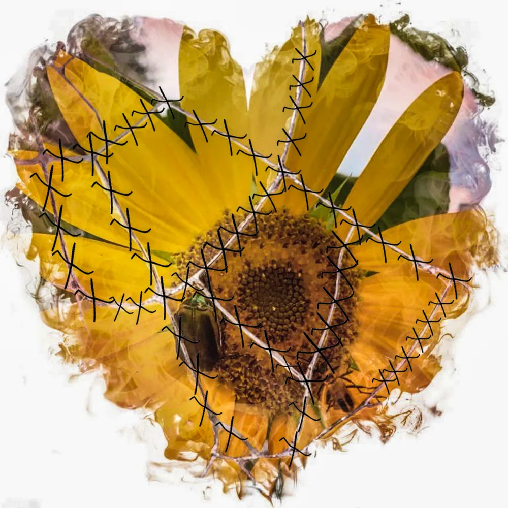 Twenty-Two Hearts