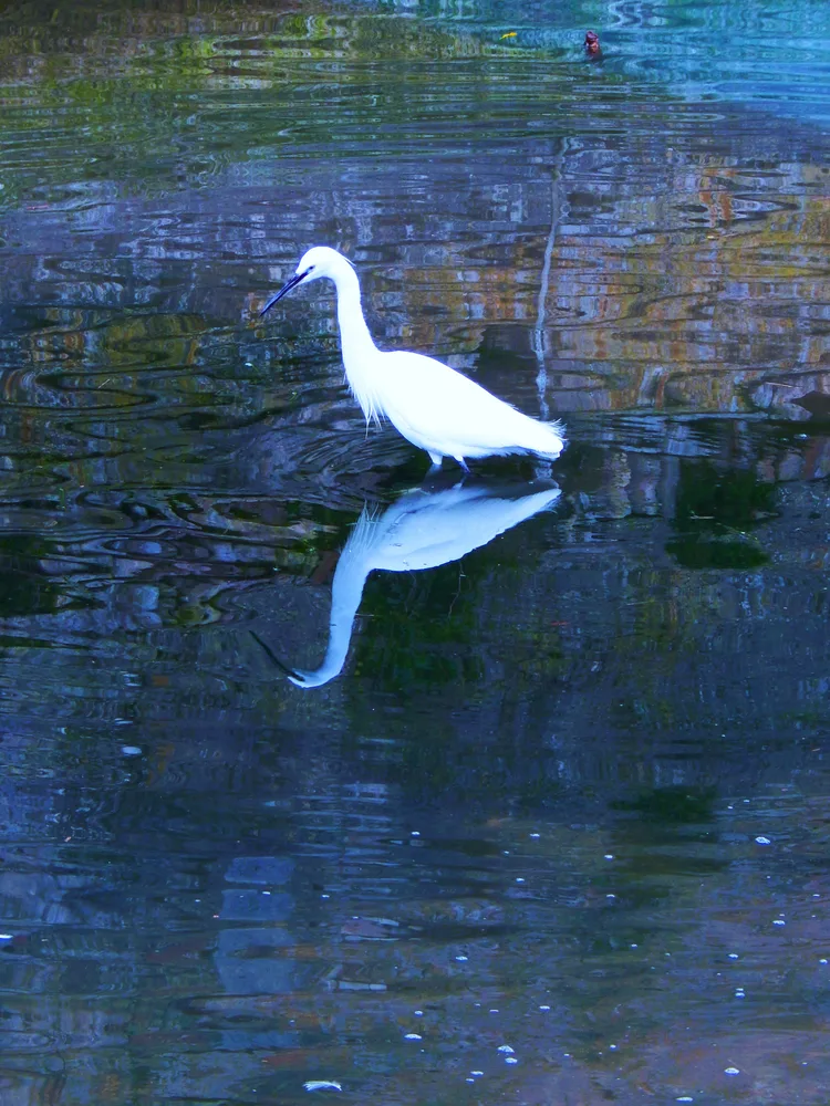 Reflection of Hope