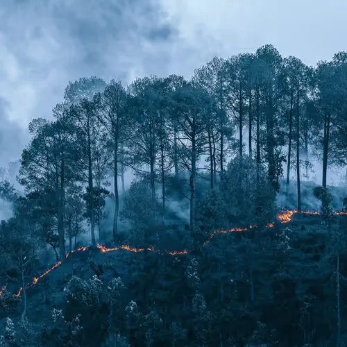 Fire Knows No Barrier
