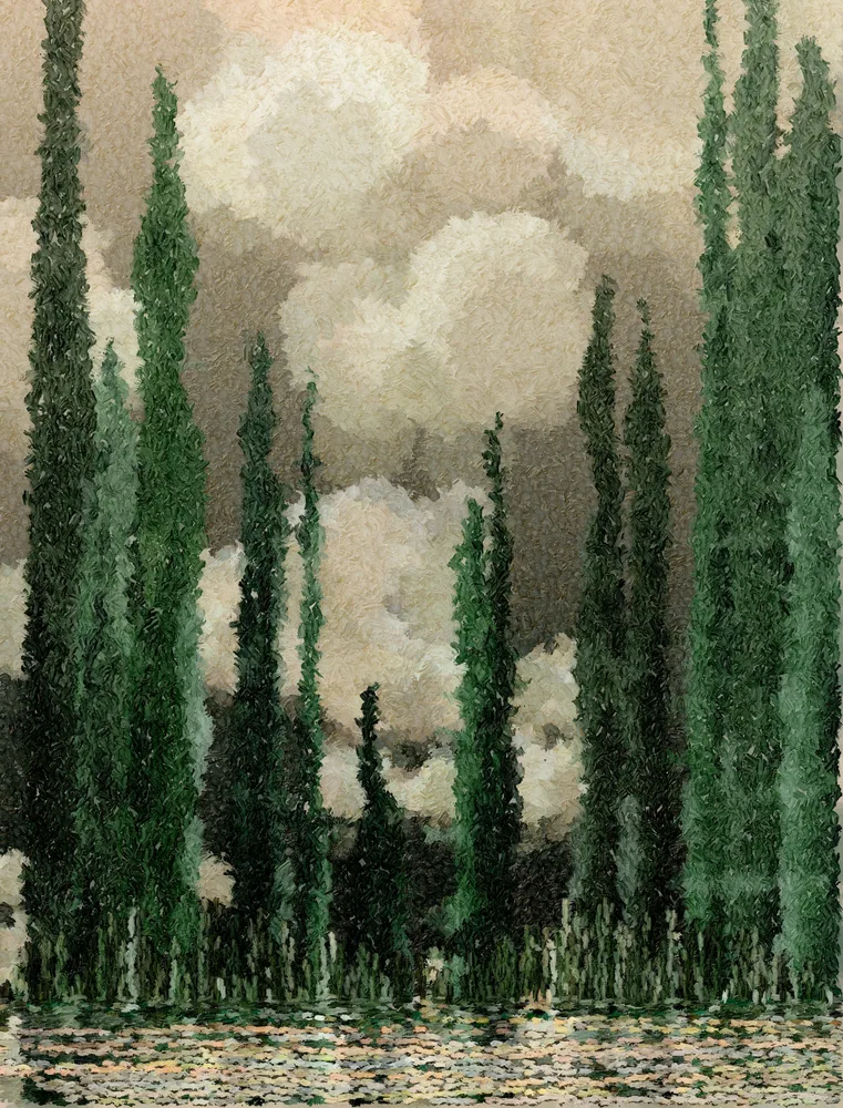 Before the Storm