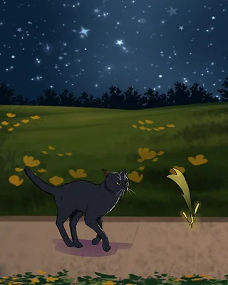 Star Catcher