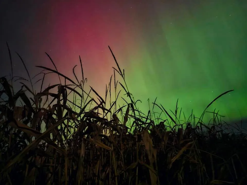 Lights over the corn field