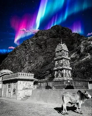 Neon Serenity