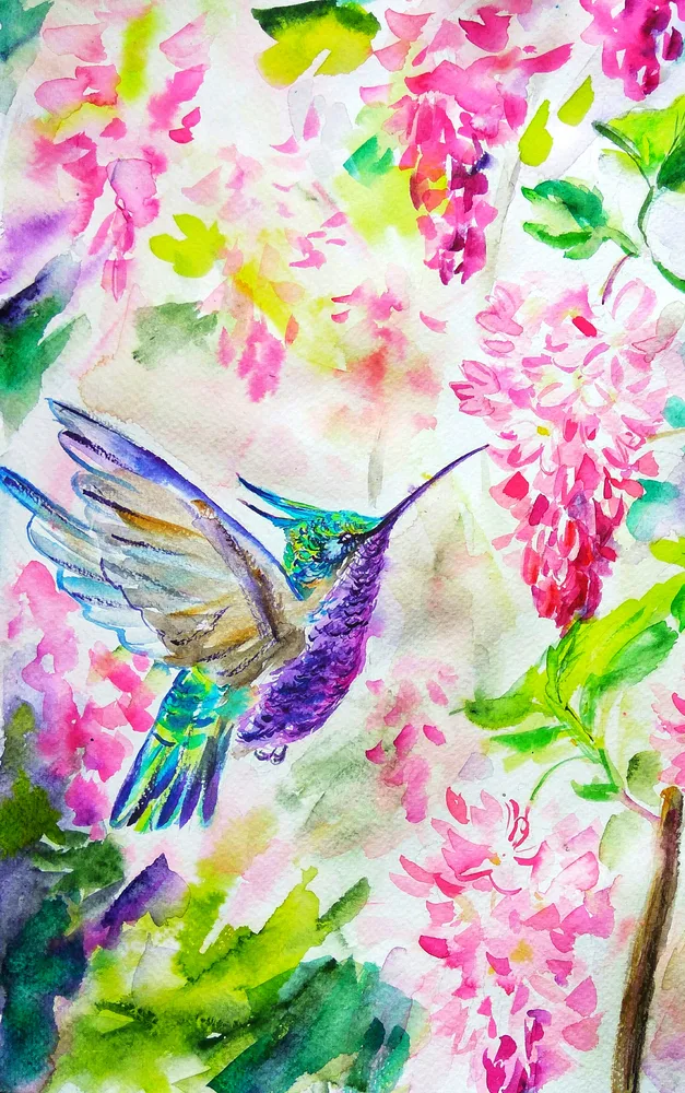 Social Butterfly
