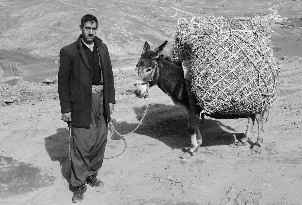 Village life