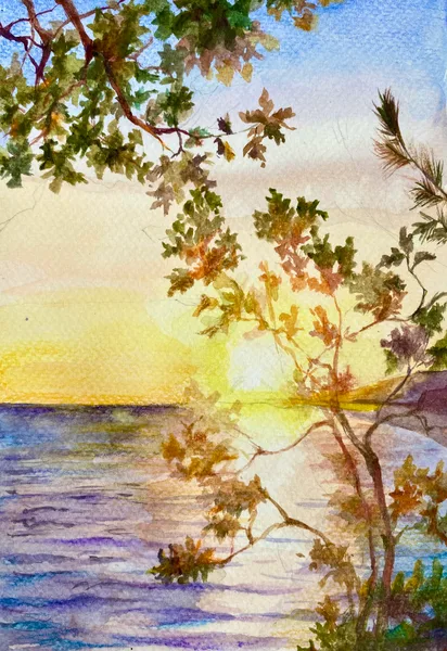 Sea sunset