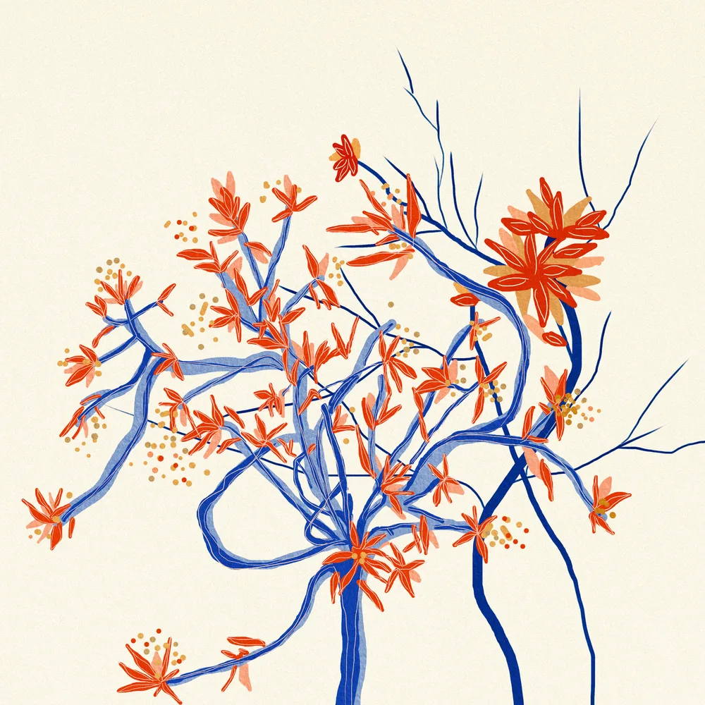 Suddenly blooming