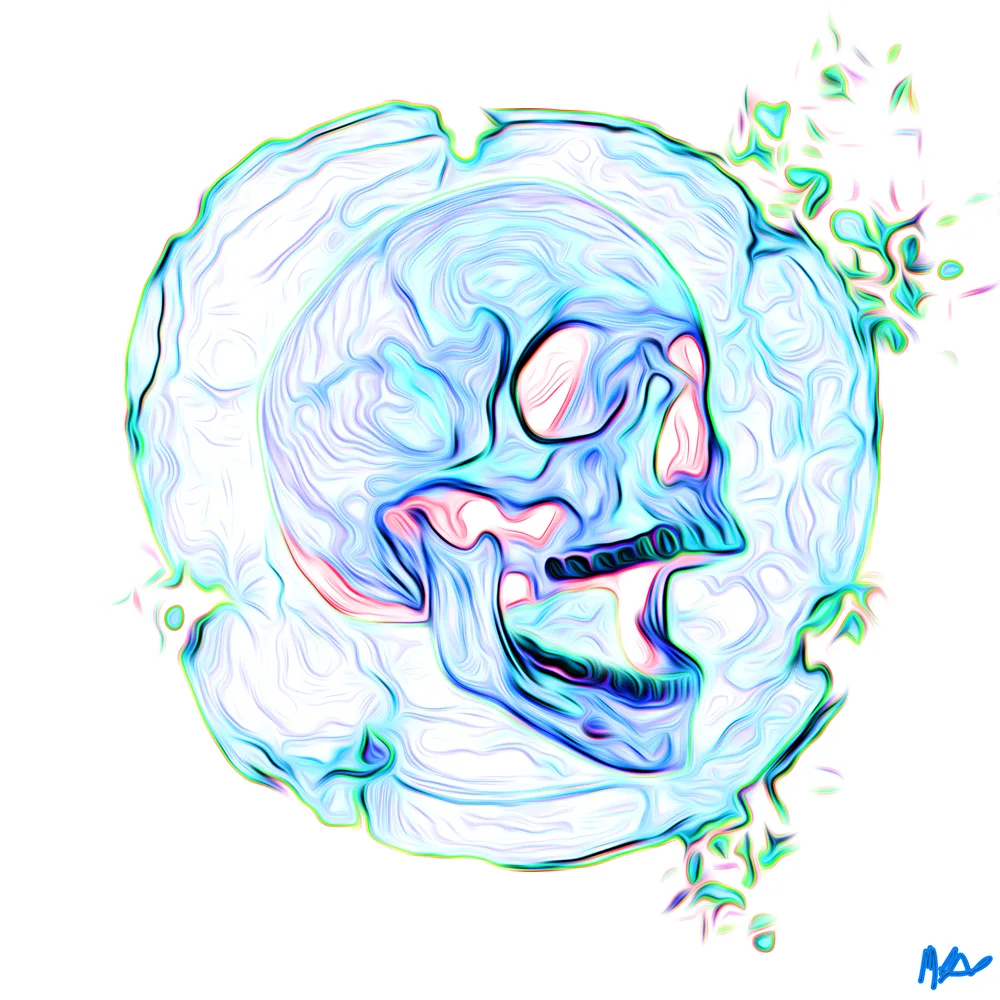 Skull 1