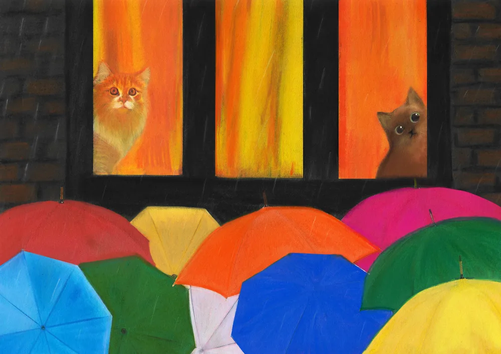 Umbrellas