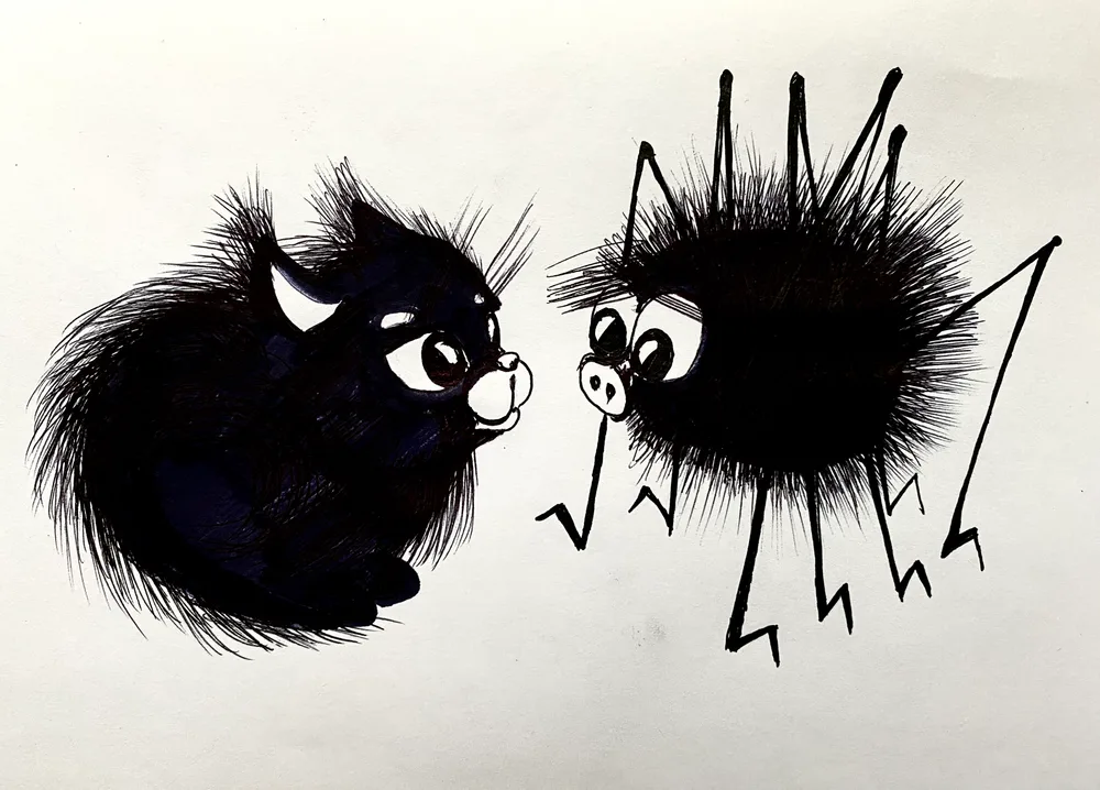 Spider