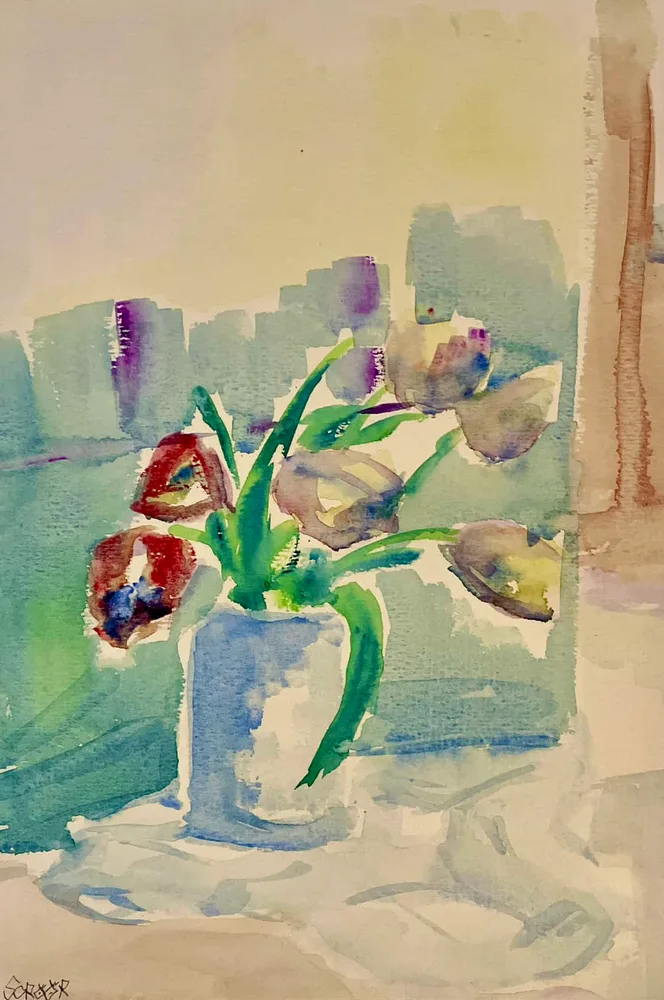 my  dreamy tulips