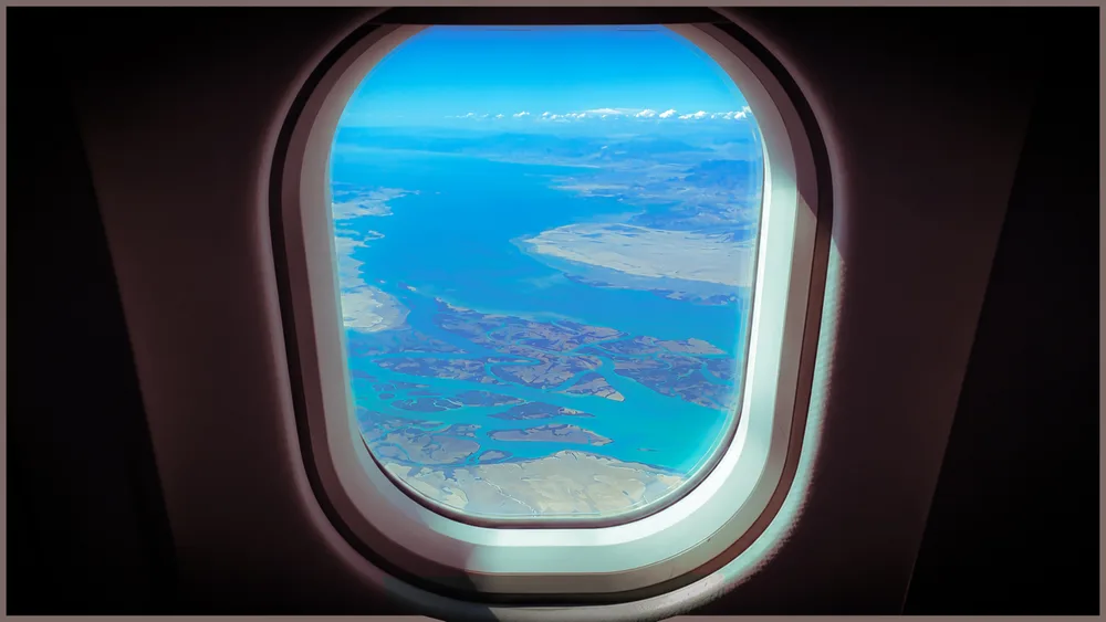 From the Sky to the Mangroves