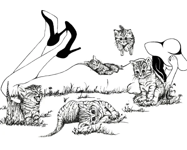 Meow Time