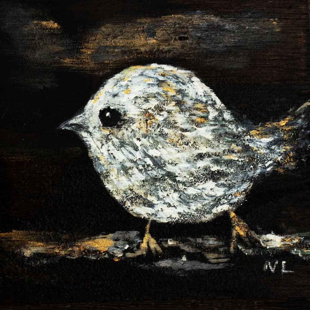 Little bird