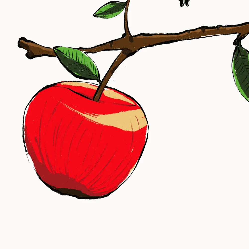 Apple joy