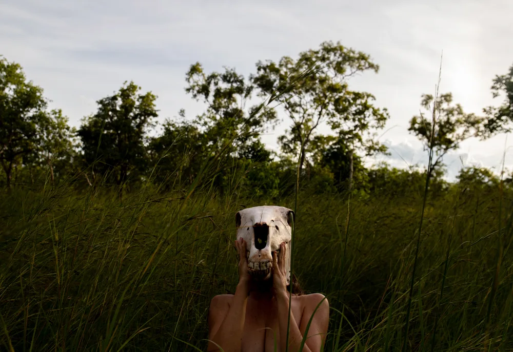 Life in the long grass.