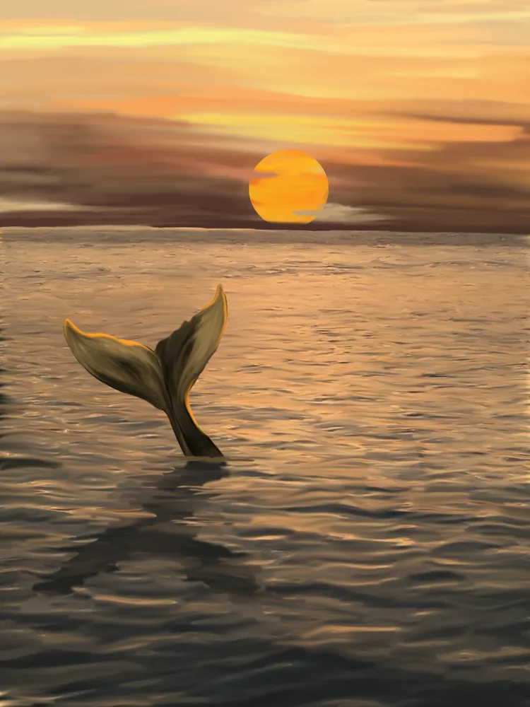 lone whale