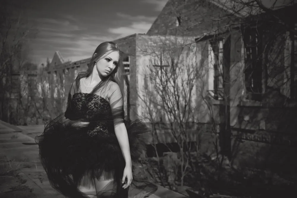 Black Bird