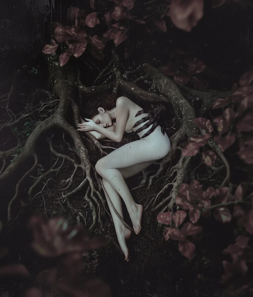 Dark solace