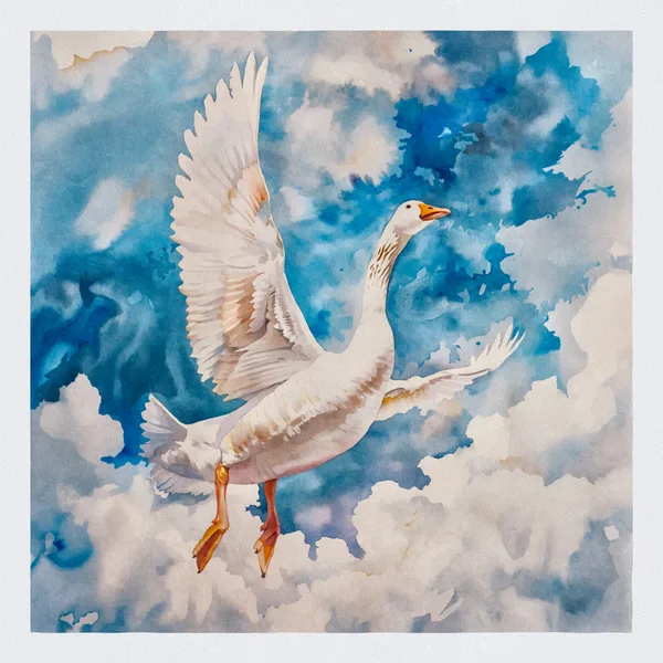 Let's Goose