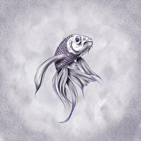 Not a big fish
