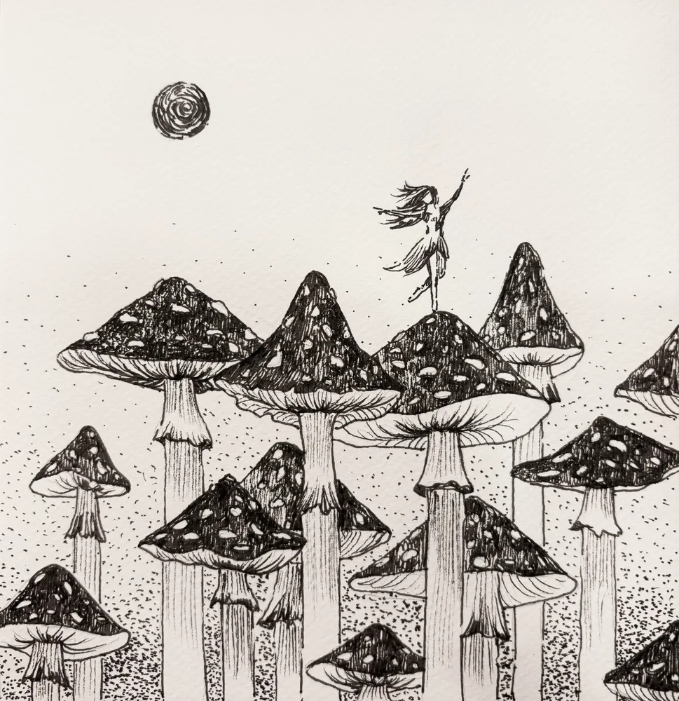 Fly agaric
