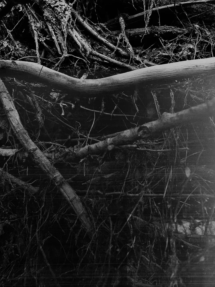 Natura Obscura 008