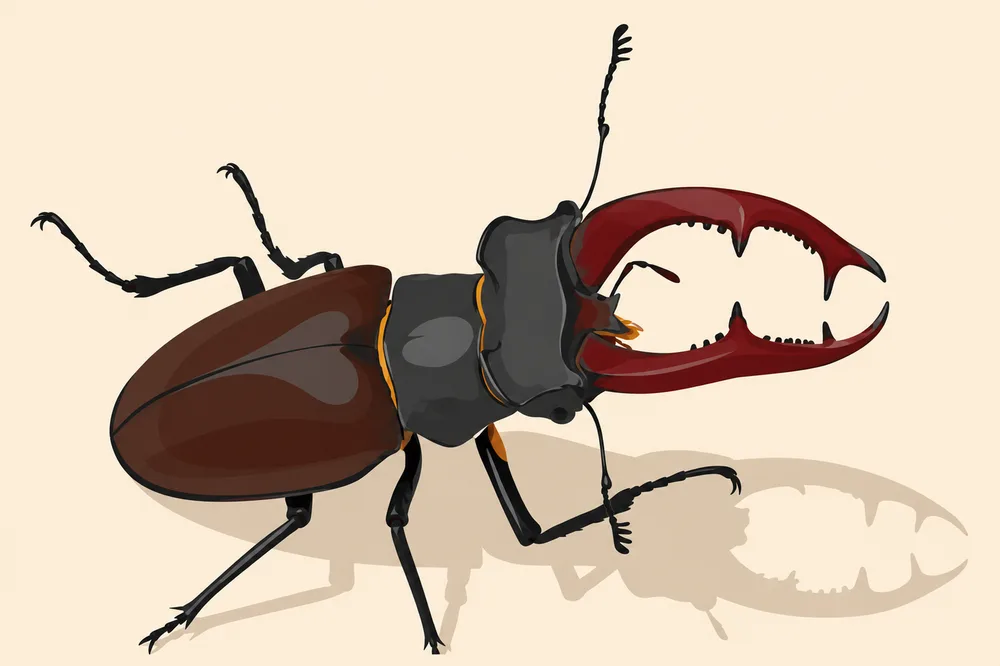 01. Lucanus cervus