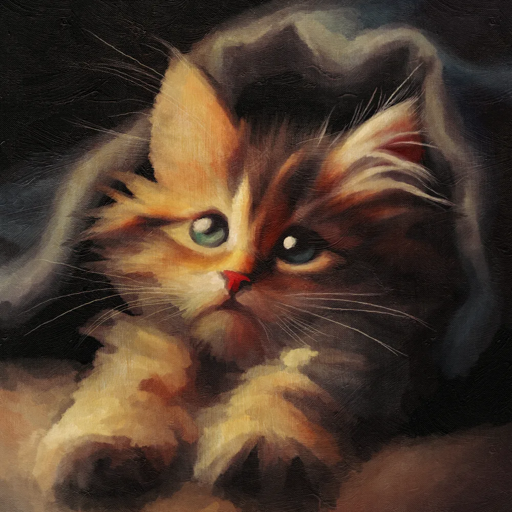 felis catus