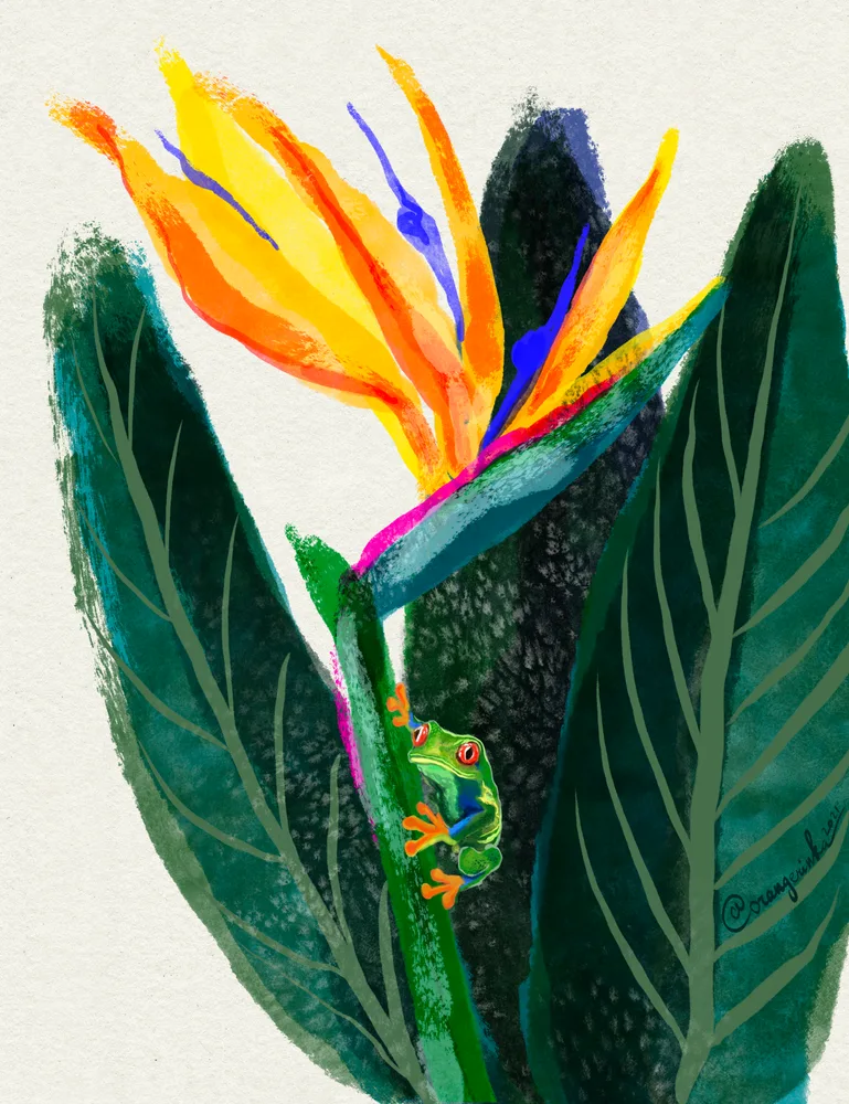 Tree Frog