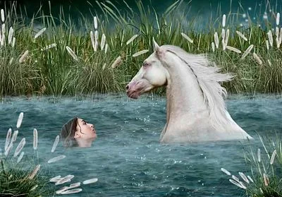 Twilight Swim (Don't Be Afraid)