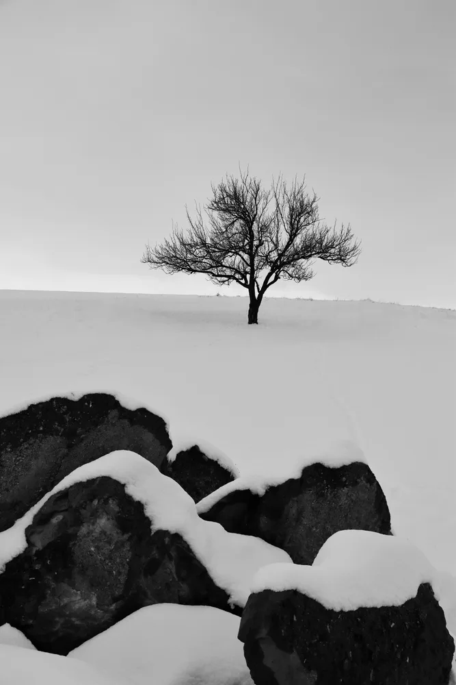 Winter landscape