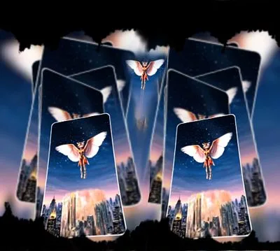 Fly