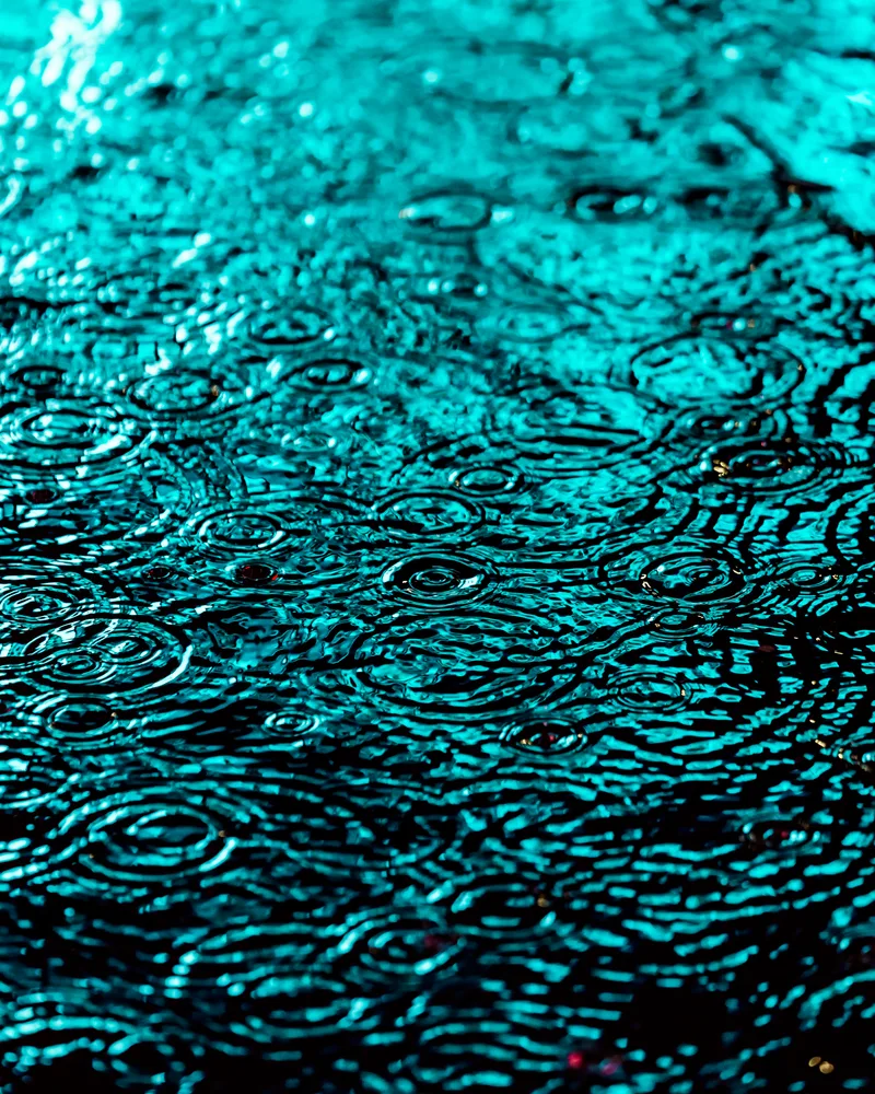 DRIP #16