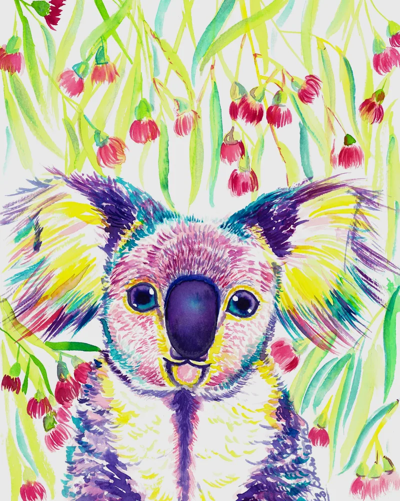 Rainbow Koala