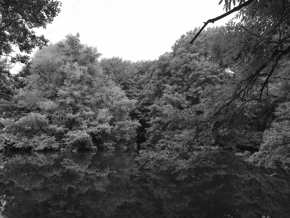 Silence