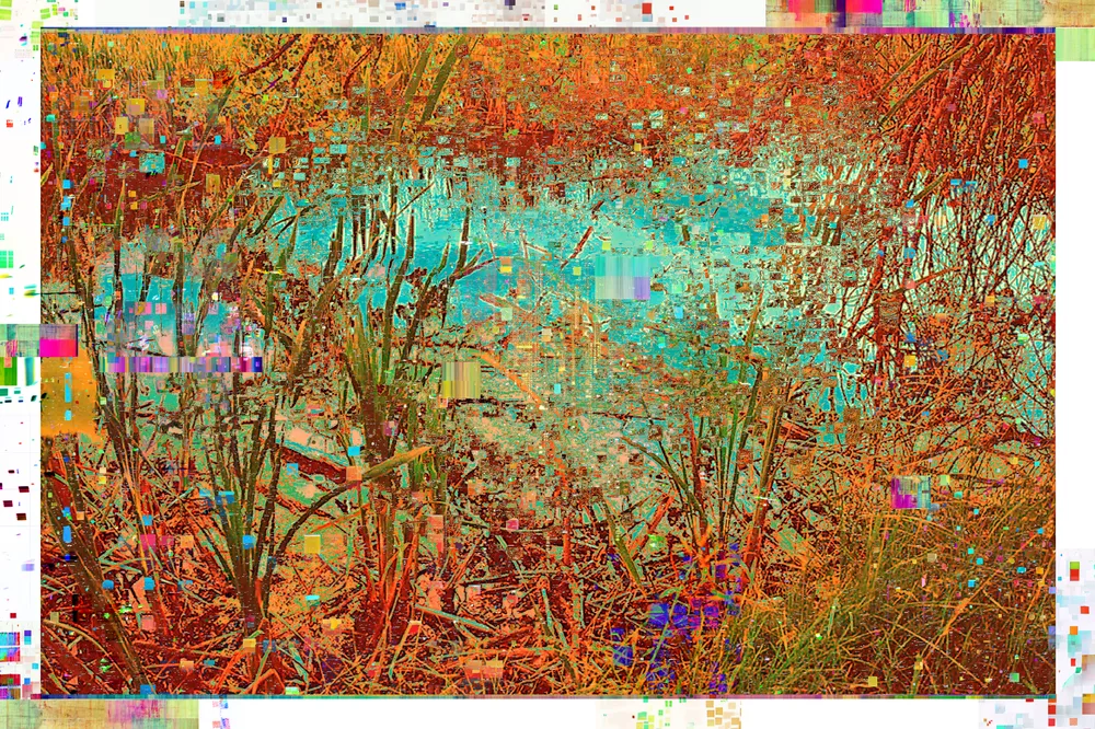 Autumn Pond