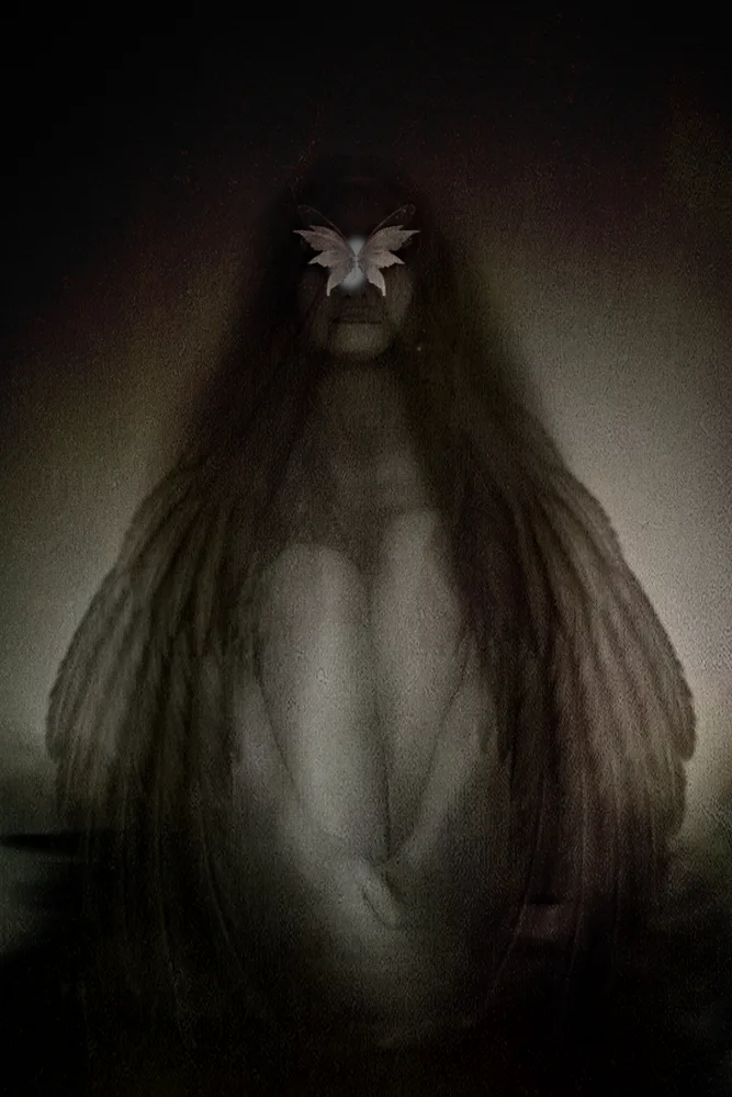 Wings of Silence