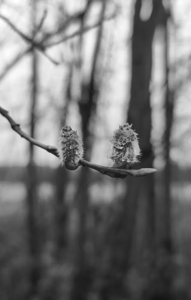 The illusion of simplicity