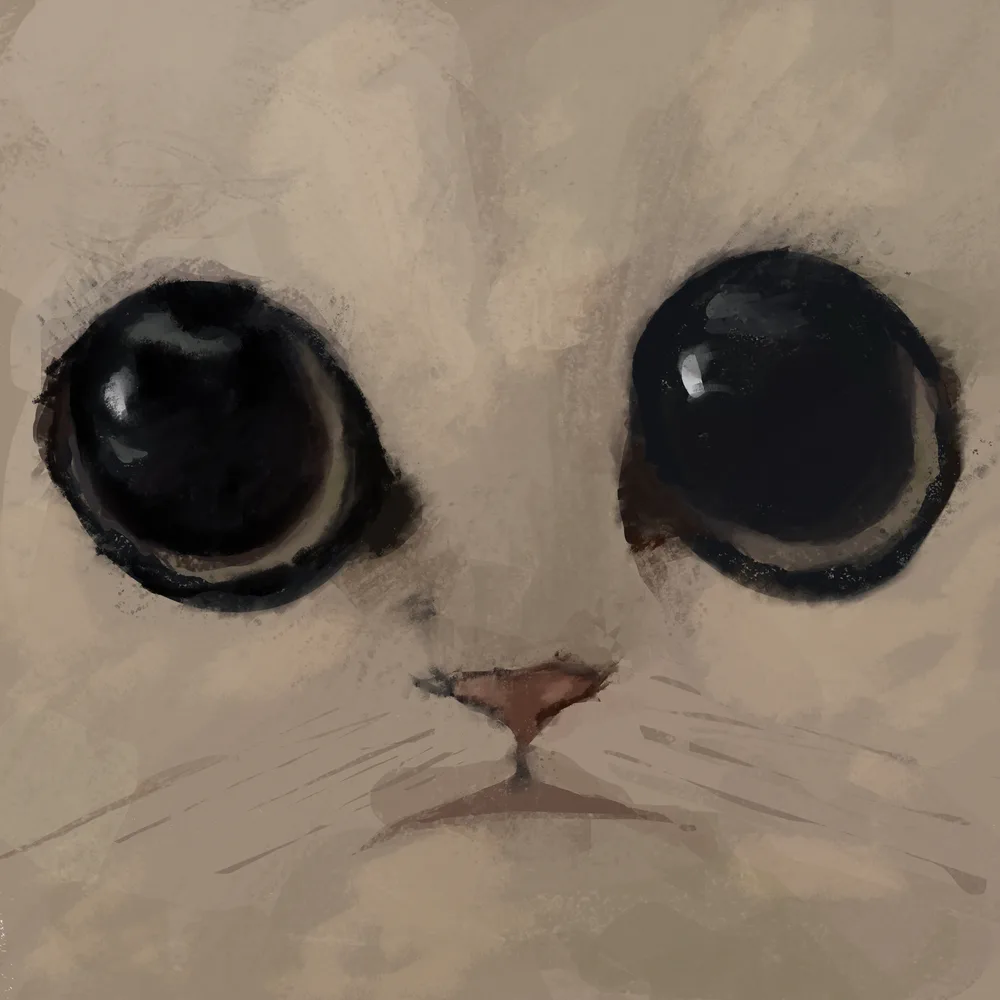 Meow