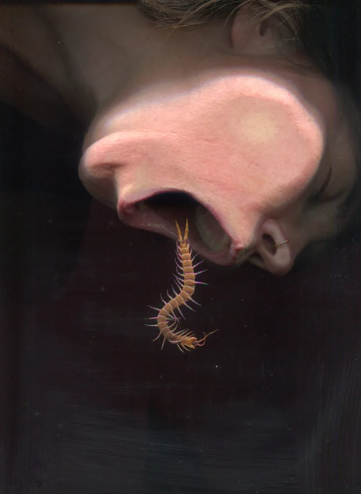 Swallow