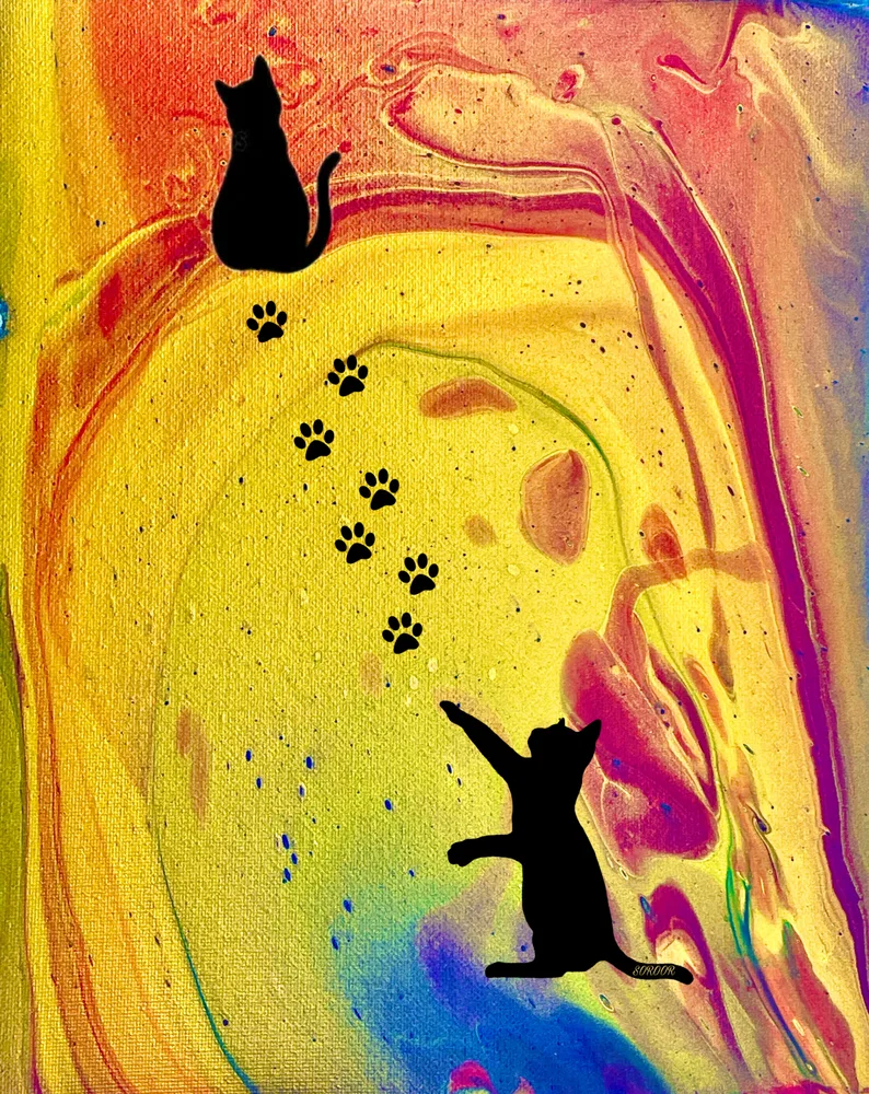Cats Between Colors
