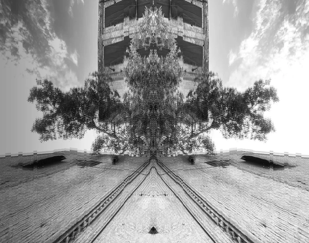 Mirror Trees 3