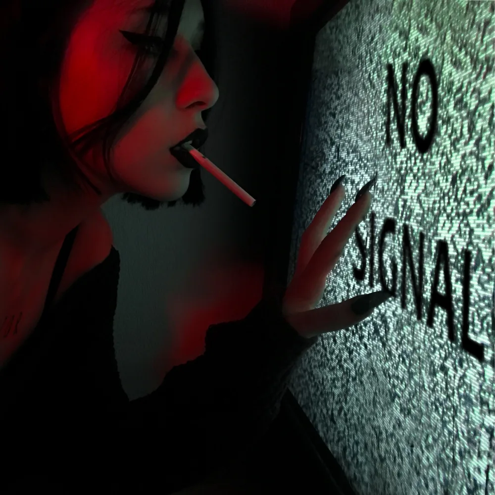 no signal