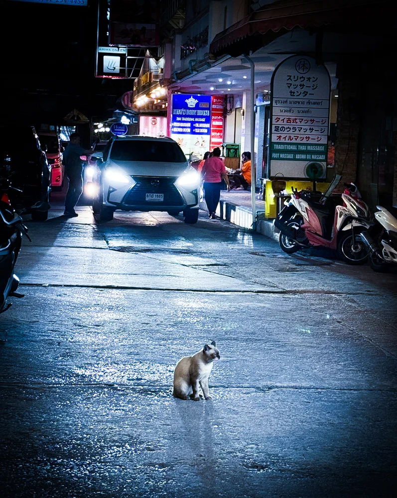 Streets of Bangkok - Cat Nap