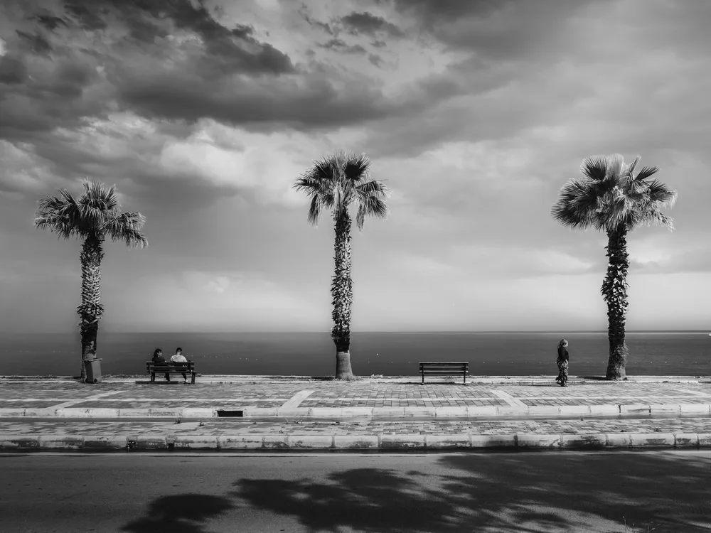 3PALMS