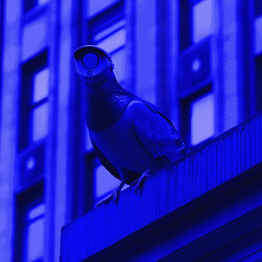 Do Not Feed The Birds.