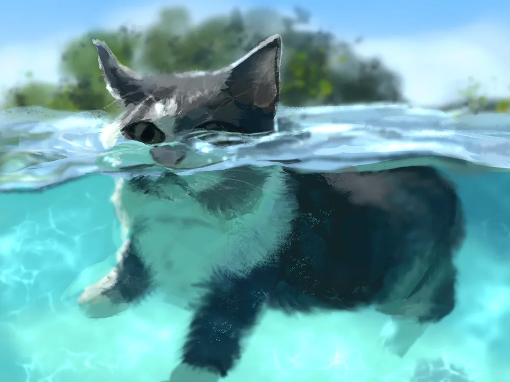 Splish Splash