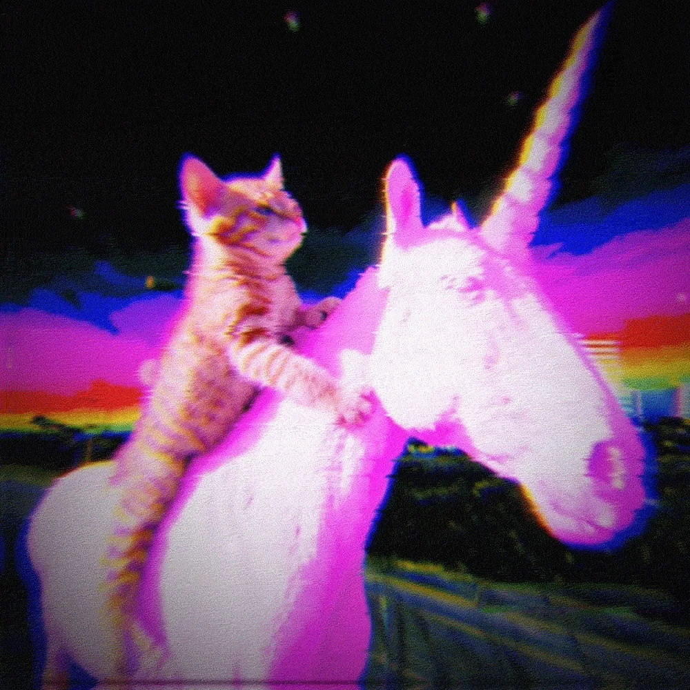 MEOWWW