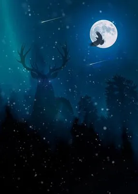 Nocturnal Mysteries